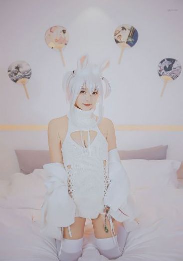 完美世界 动漫