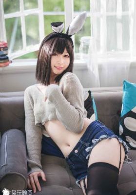 动物狂想曲第一季免费观看完整版