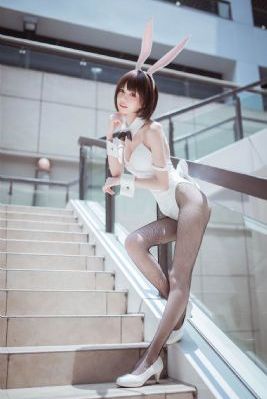 久久视频坊
